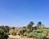 South Golf, El Gouna, Egypt, 4 Bedrooms Bedrooms, ,2 BathroomsBathrooms,Houses - Villa,For sale,South Golf,1160