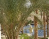 Ancient Sands Resort, El Gouna, Egypt, 1 Chambre Chambres, ,1 Salle de bainsSalle de bain,Apartment,For sale,Ancient Sands Resort,3,1026