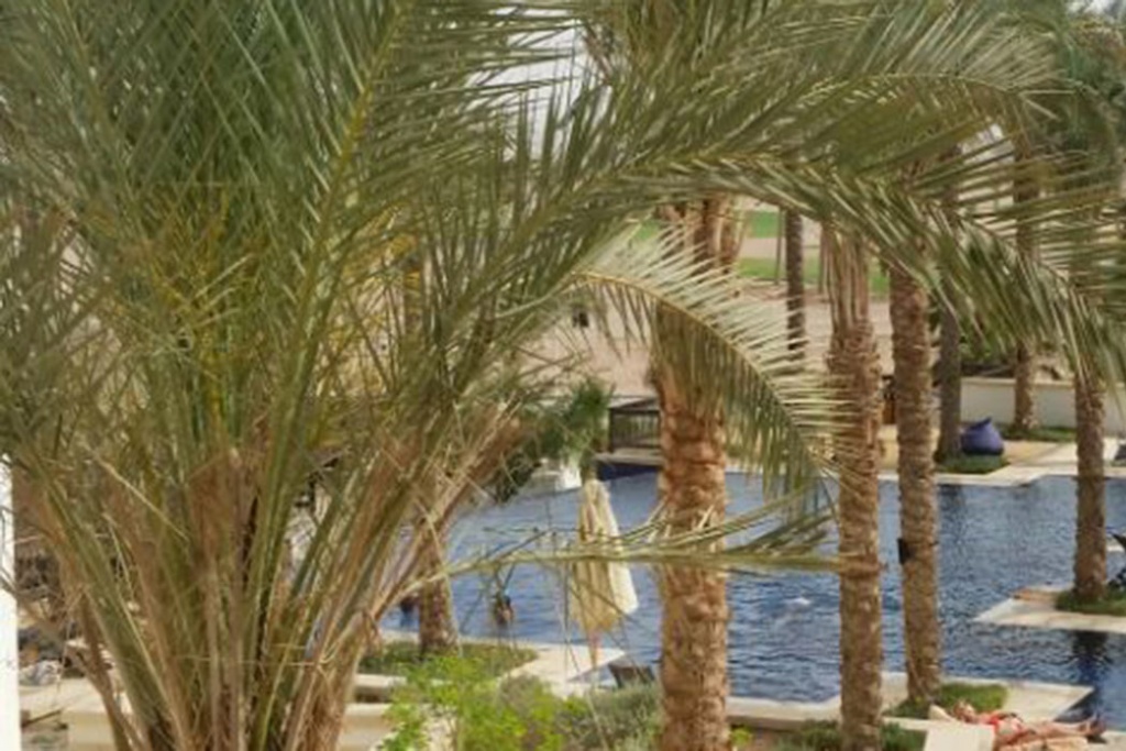 Ancient Sands Resort, El Gouna, Egypt, 1 Chambre Chambres, ,1 Salle de bainsSalle de bain,Apartment,For sale,Ancient Sands Resort,3,1026