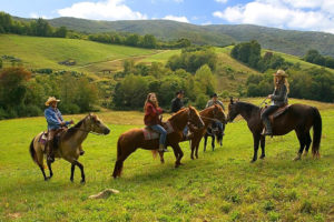 Horse Riding Kolasin