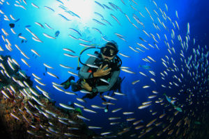 Y-Go El Gouna Scuba Taster Experience