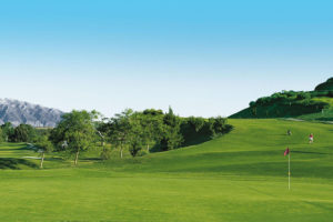 Y-Go Marbella Golf & Wellness Experience