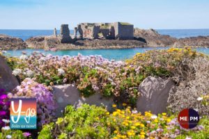 Alderney in Spring